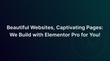 We will build your dream website using Elementor page builder
